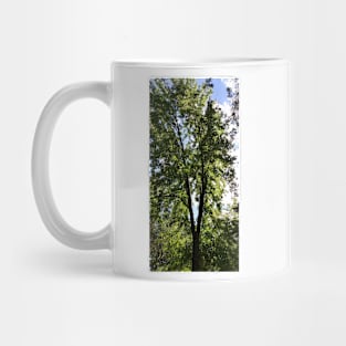 Terra Cont'd Mug